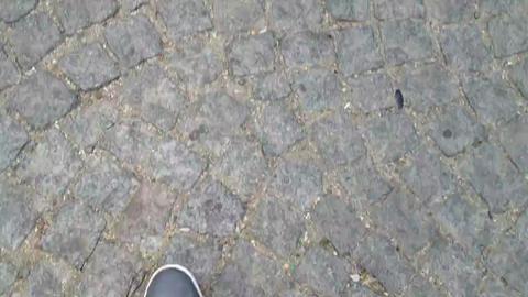 25150